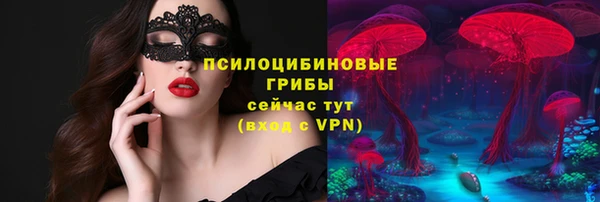 apvp Снежногорск
