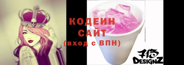 apvp Снежногорск
