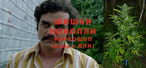 apvp Снежногорск