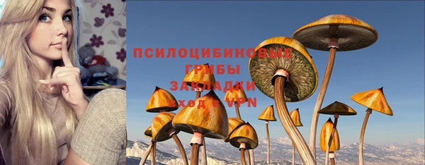 apvp Снежногорск