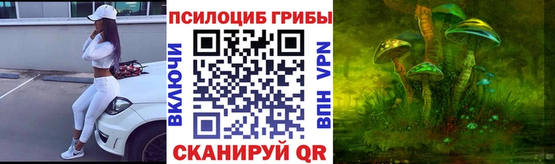 закладка Астрахань сайты даркнета официальный сайт Галлюциногенные грибы GOLDEN TEACHER