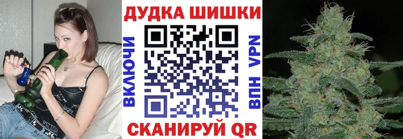 Конопля гибрид  Астрахань 
